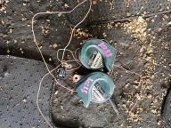 Фотография Звуковой сигнал HONDA FREED 2010г.