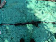 Фотография Рулевая рейка SUBARU LEGACY 2006г.