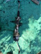 Фотография Рулевая рейка TOYOTA CAMRY 2020г.