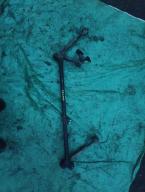 Фотография Трапеция NISSAN TERRANO 1990г.