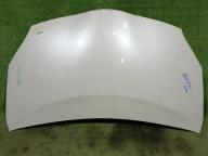 Фотография Капот TOYOTA PRIUS 2010г.