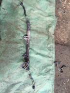 Фотография Рулевая рейка NISSAN CUBE 2007г.