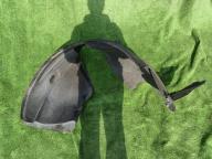 Фотография Подкрылок передний правый BMW X3 2010г.