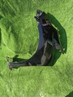 Фотография Крыло левое HONDA FIT 2011г.