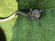 Фотография Помпа инвертора TOYOTA PRIUS 2011г.