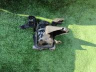 Фотография Подушка двигателя правая TOYOTA PRIUS 2010г.