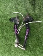 Фотография Петля капота комплект TOYOTA PRIUS 2006г.