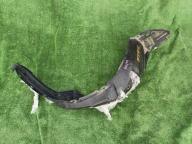 Фотография Подкрылок передний левый TOYOTA AQUA 2013г.