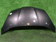 Фотография Капот HONDA FIT 2013г.