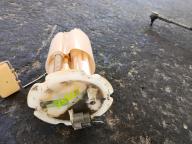 Фотография Топливный насос NISSAN SERENA 2009г.