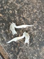 Фотография Петля капота комплект TOYOTA RAV4 2001г.