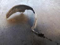 Фотография Подкрылок передний правый NISSAN SUNNY 2002г.