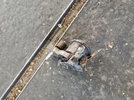 Фотография Подушка двигателя правая TOYOTA AQUA 2013г.