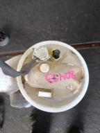 Фотография Топливный насос TOYOTA VITZ 2009г.