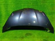 Фотография Капот HONDA FIT 2009г.