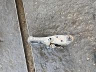 Фотография Рычаг передний правый MITSUBISHI PAJERO MINI 2007г.