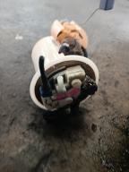 Фотография Топливный насос TOYOTA PRIUS 2012г.