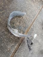 Фотография Подкрылок передний правый TOYOTA ALLION 2007г.