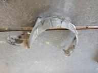 Фотография Подкрылок передний левый TOYOTA PRIUS 2011г.