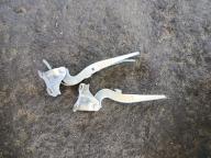 Фотография Петля капота комплект TOYOTA PRIUS 2007г.