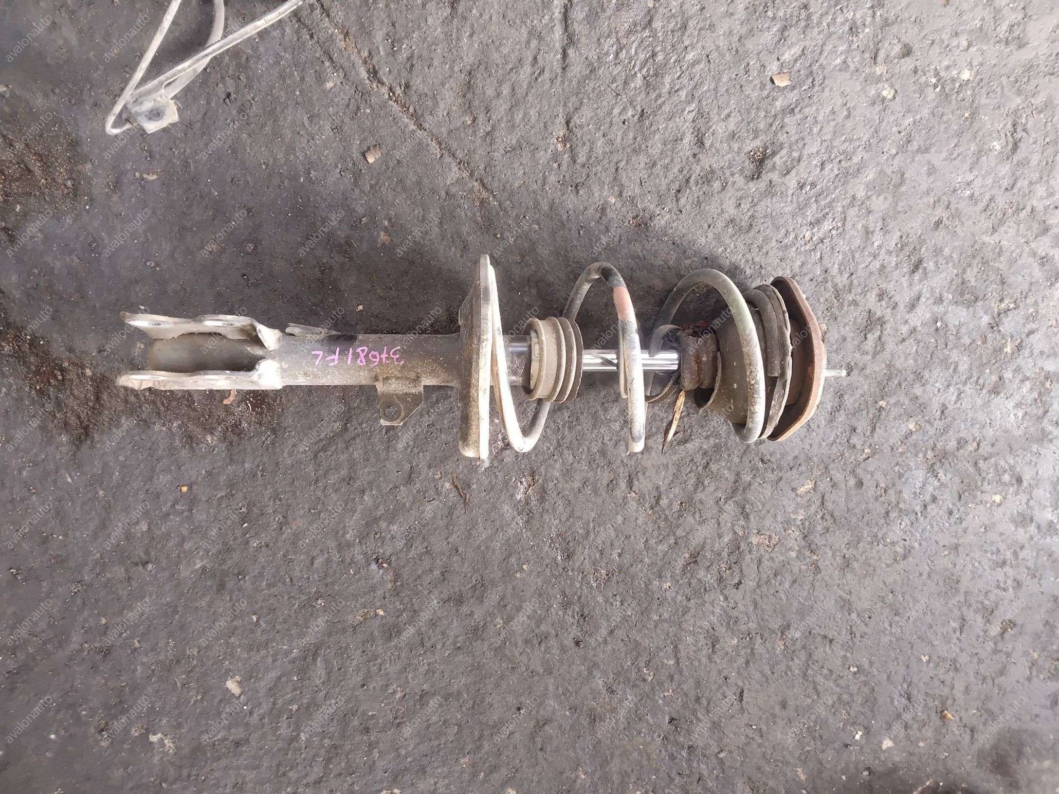 Передние Стойки Приус 20 Купить